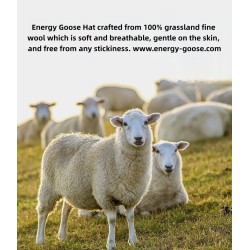 100% Wool Guarantee Red Energy Goose 2-Sided Arctic Knit Beanie Men Wool Hat Online for Sale