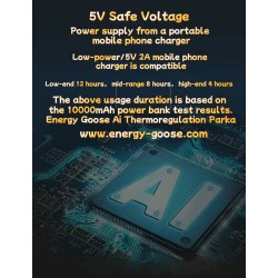 Original Graphite Energy Goose Men Self Heating Ai Expedition Parka Online for Sale