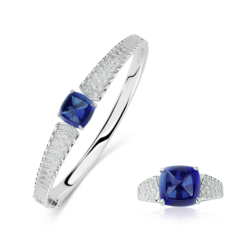 Original Sapphire Energy Goose Simple Box Gem Art Jewelset Online for Sale