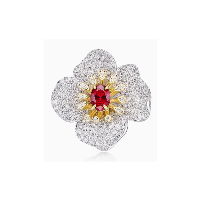 for Health & Harmony