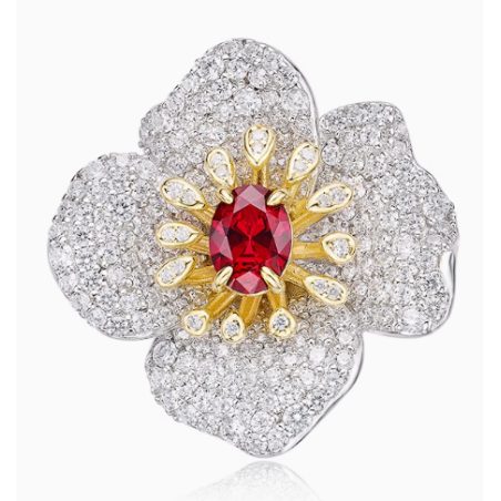 for Health & Harmony