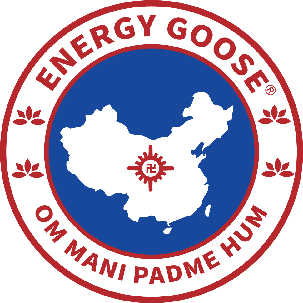 Energy Goose